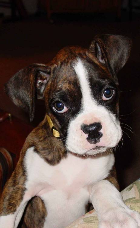Agatha @ 12 weeks
