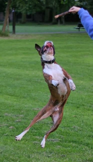 Agile