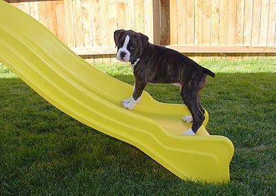 Agility Anyone?