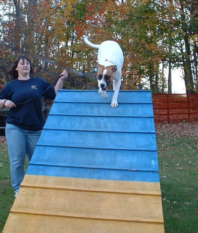 Agility Class
