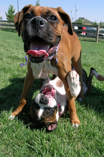 Ah Ha! Pinned her!