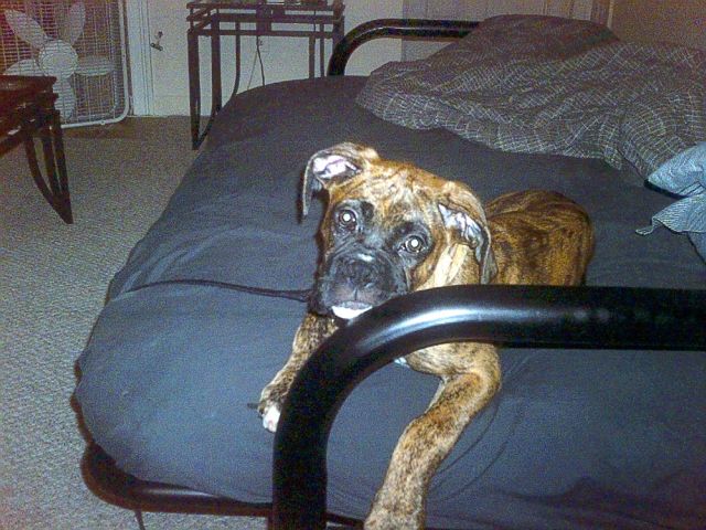 Ah I'm in time out.