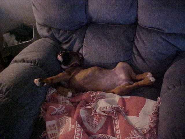 Ah, this is how it works.  And I have another blankie.