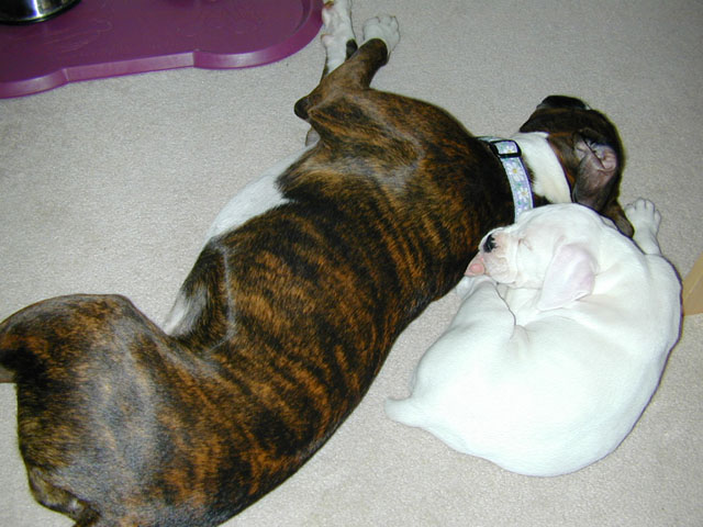 Ahh, Nap Time
