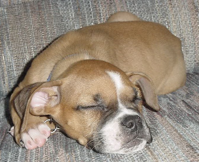 AHH!  Nap Time!