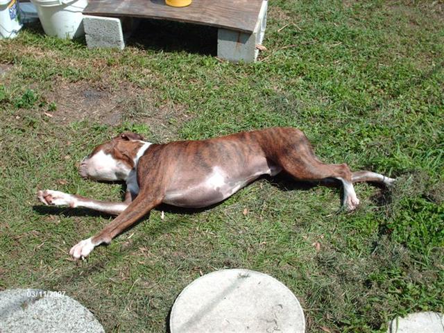 Ahh_sun