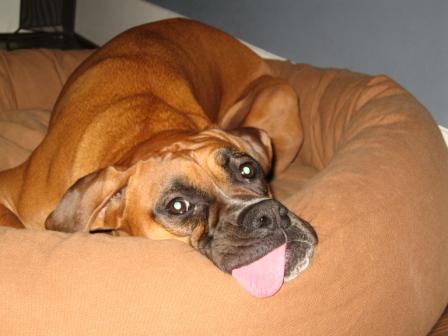 Ahhh...bedtime