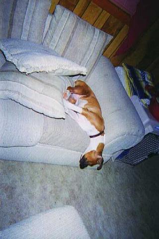ahhh...my favorite spot