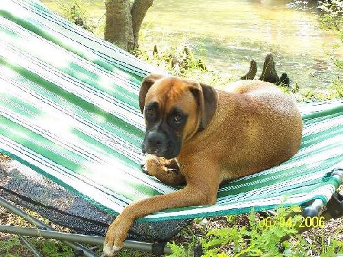 Ahhh, this is the life....