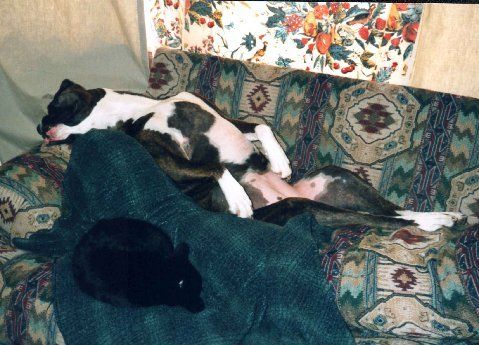 Ahhhh...this is the goooooood life...