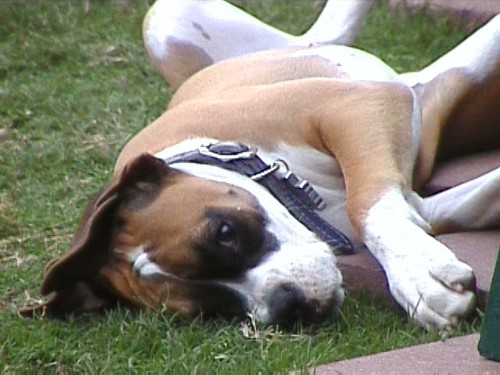 AHHHH ... this is the life!