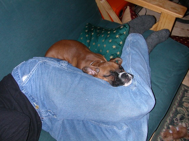 Ahhhh tooo Cute....