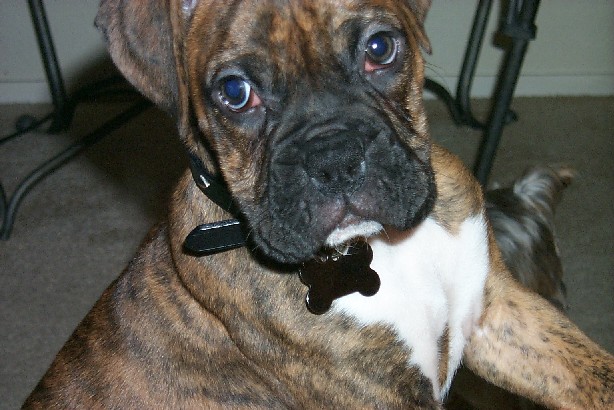 Ain't I cute