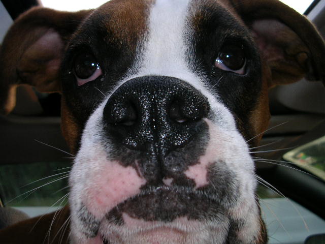 ain't i cute!