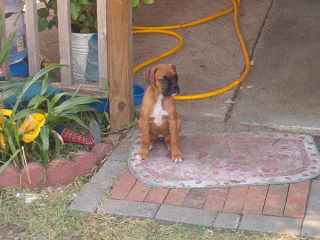 Ain't I cute??