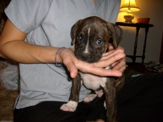 Ain't I Cute?