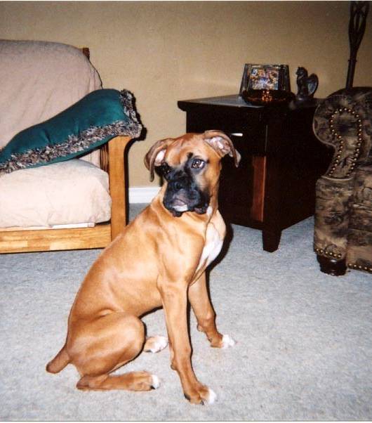 Ain't I good lookin'??