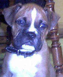 Aint I Tha Cutest?