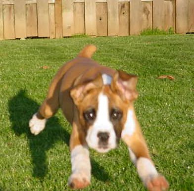 Air time!