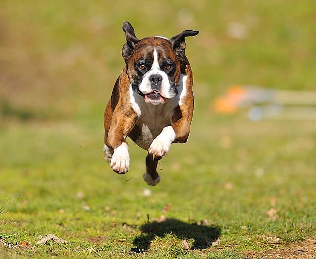 Airborne