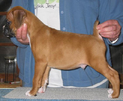 AJ @ 7 weeks.
