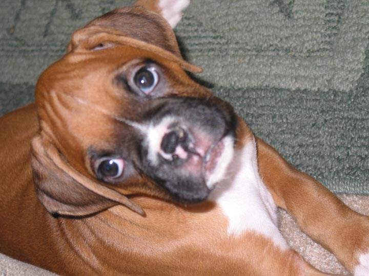 AJ