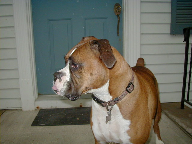 Akswell age 5