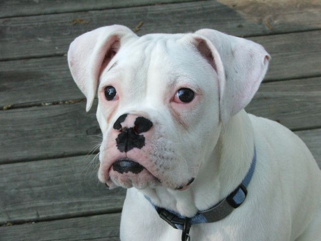 Albert 6 months