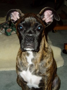 Alexis 4 mths