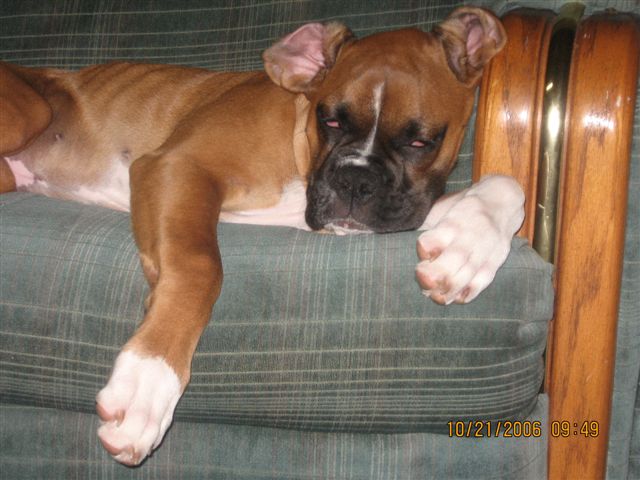 Alexis relaxing