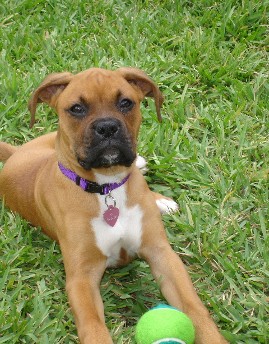 Ali- 10 weeks