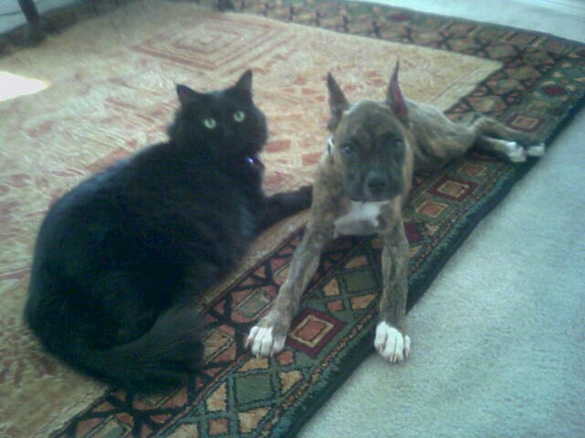 Ali (3mos) and Kenya just from nap