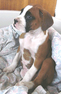 Ali @ 8wks