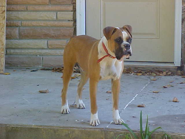 Ali @ 9months
