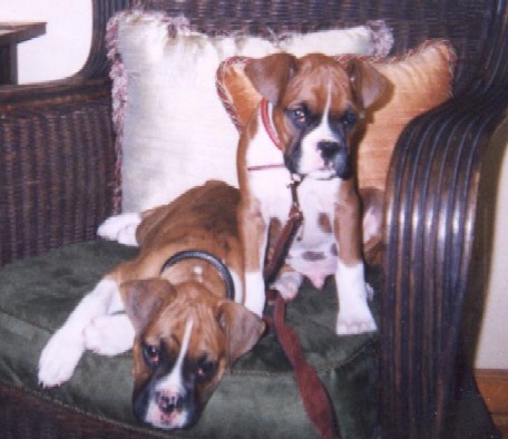 Ali and Frasier