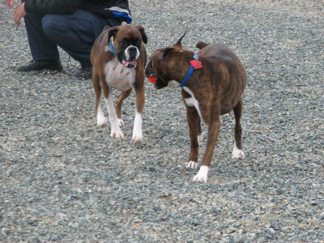 Ali and Kato