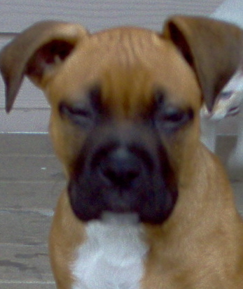 ALI at 3 months