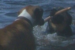 Ali & Brooke having tug of war in the pond