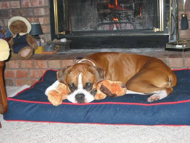 Ali by the fireplace