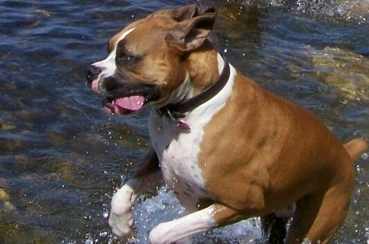 Ali having fun in the pond