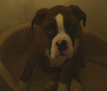 Ali lookin sad