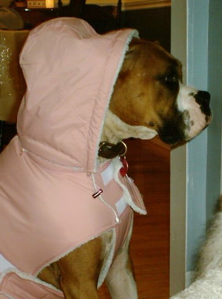 Ali modelling her new coat.