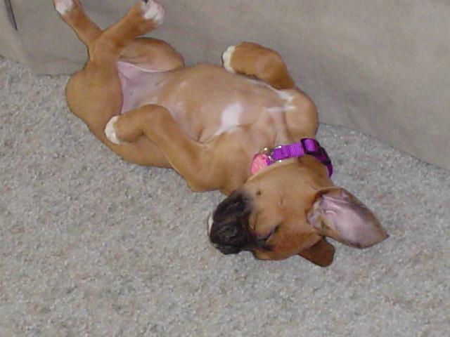 Ali sleeping
