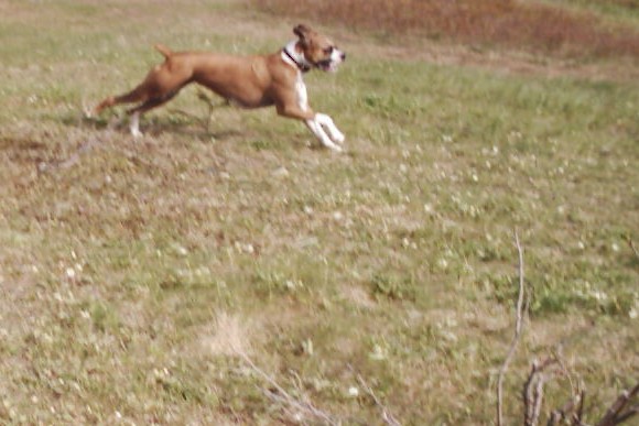 Ali sprinting