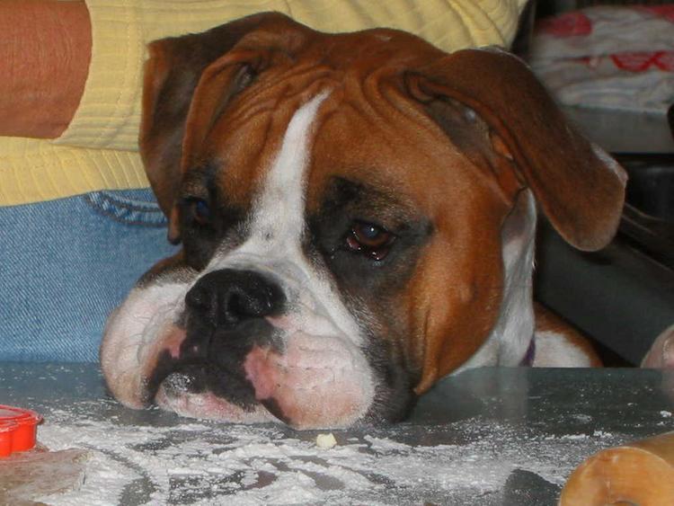 Ali wanting the cookie dough!