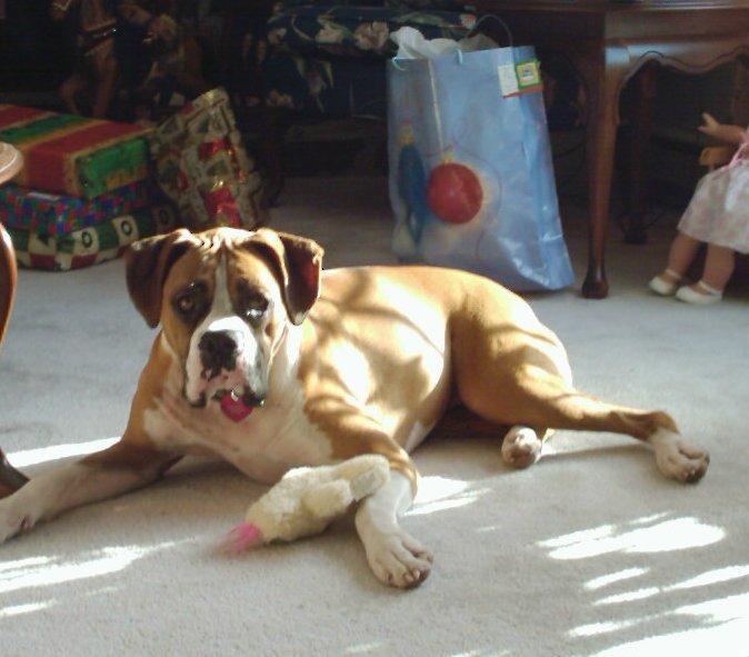 Ali_on_Christmas_morn_2