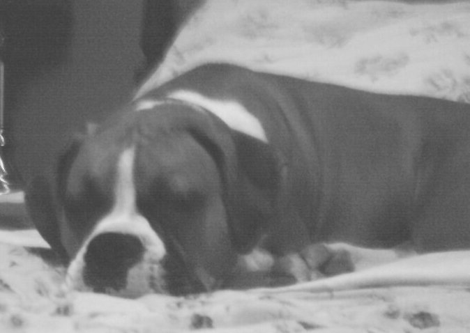 Ali_on_my_bed