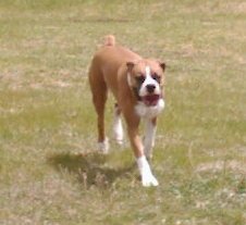 Ali_with_her_ball