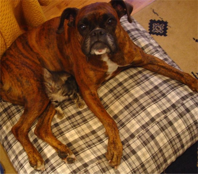 Alice and her new ''boyfriend''