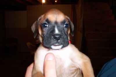 alien baby at 4 weeks